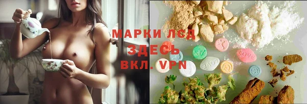 ГАЛЛЮЦИНОГЕННЫЕ ГРИБЫ Алексеевка