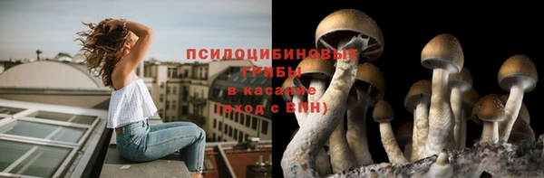 эйфоретик Алзамай