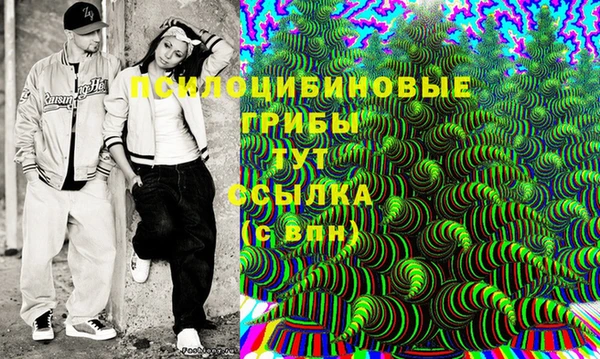 ГАЛЛЮЦИНОГЕННЫЕ ГРИБЫ Алексеевка