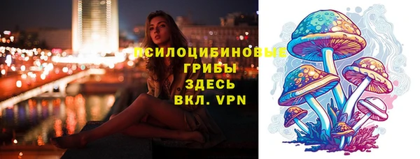 эйфоретик Алзамай