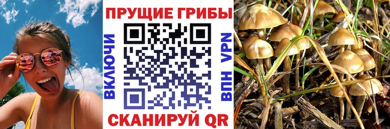 Галлюциногенные грибы прущие грибы  Навашино 